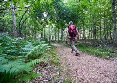 A hiker with a backpack walking through woods
