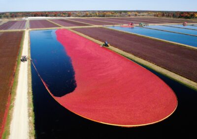 Warrens WI Cranberry Bogs
