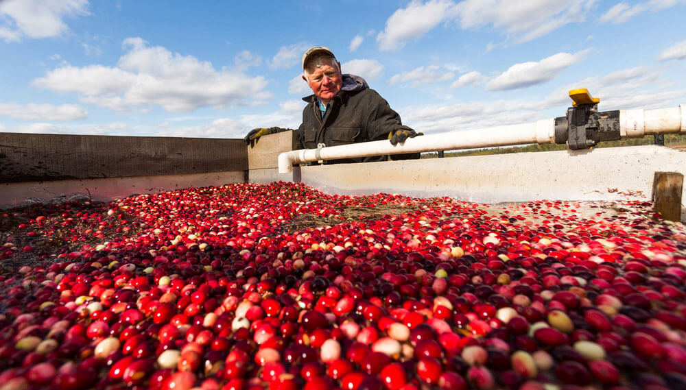 Wetherby Cranberry Company