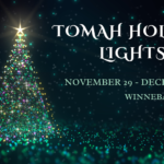 A poster for the Tomah Holiday Lights