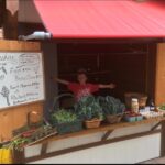 A young boy stretches out his arms showing all his vegetables for sale.