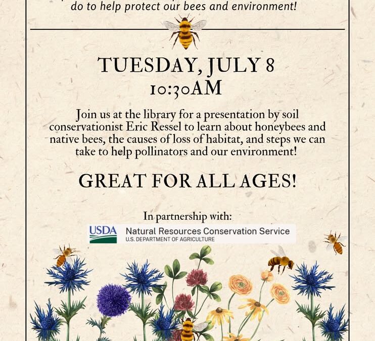 From A to Bees