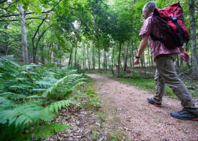 Top Places to Camp Under the Stars in Monroe County, Wisconsin