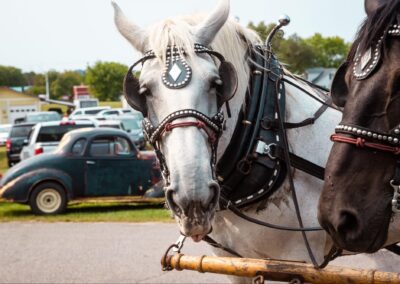 Amish Heartland: Exploring Wisconsin’s Largest Amish Community in Monroe County