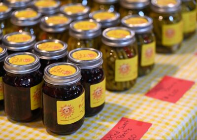 Amish Heartland: Exploring Wisconsin’s Largest Amish Community in Monroe County