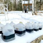 Containers of seeds ready for winter sowing