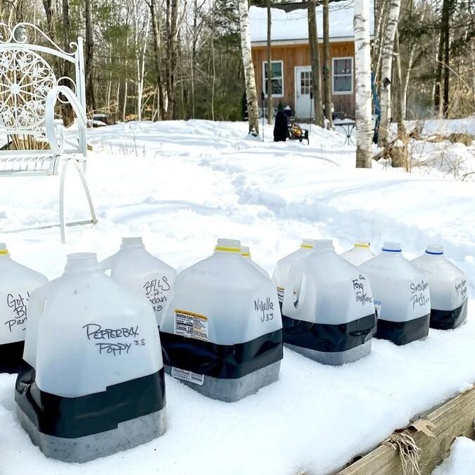 Winter-Sowing Workshop