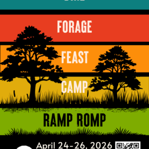 A poster with different color blocks in it and dark trees on it.