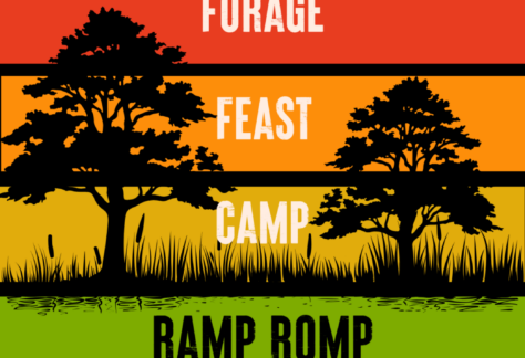 A poster with different color blocks in it and dark trees on it.