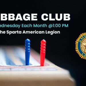 A picture of a cribbage board with pins in it.