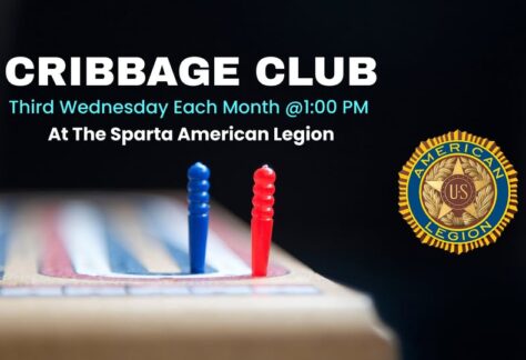 A picture of a cribbage board with pins in it.