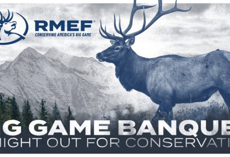 A picture of a elk along with the event information.