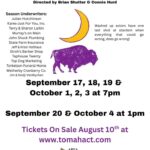 A photo of a half moon over a buffalo