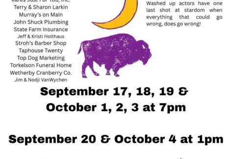 A photo of a half moon over a buffalo