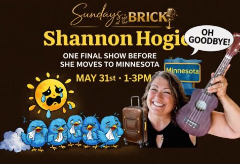 A poster with the Shannon Hogie holding a ukulele and birds and the sun crying.