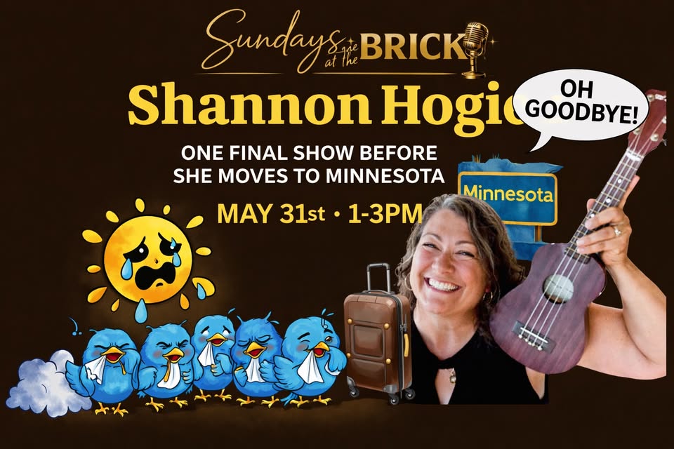 A poster with the Shannon Hogie holding a ukulele and birds and the sun crying.
