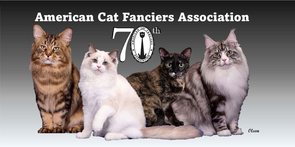 American Cat Fanciers Association