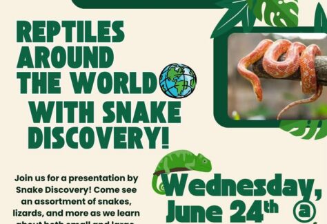 Reptiles Around the World event flier
