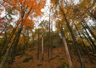 Scenic Fall Color Drives in Wisconsin's Driftless Region