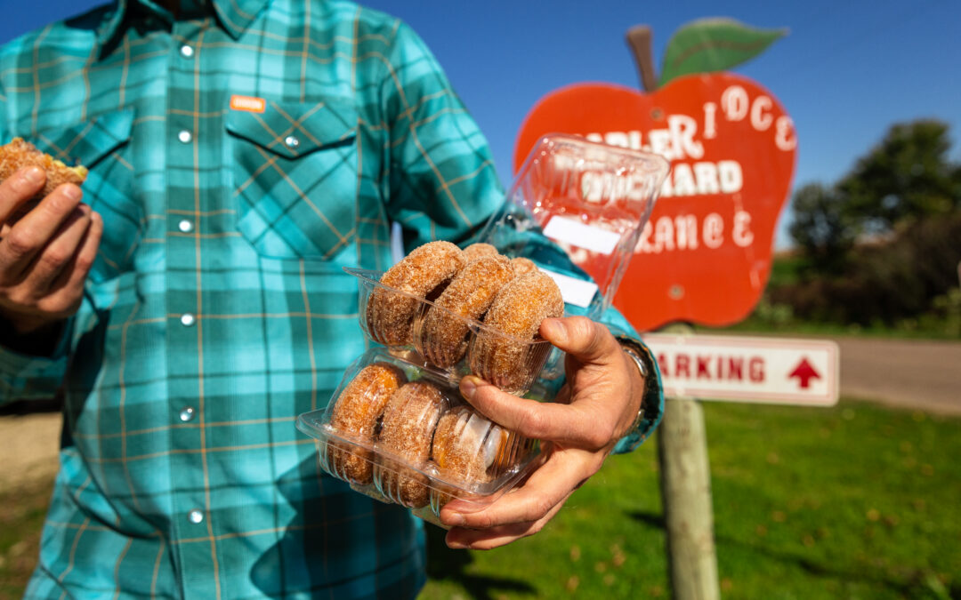 Scenic Fall Color Drives & Stops in Wisconsin’s Driftless Region