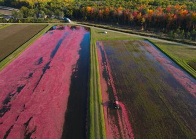 Experience Fall in Tomah, Wisconsin: Cranberries, Festivals, Fall Colors and More