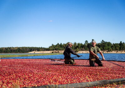 Wetherby Cranberry Company – Warrens