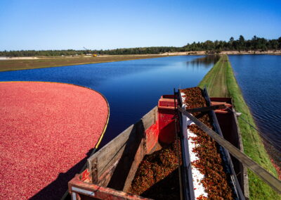 Wetherby Cranberry Company – Warrens