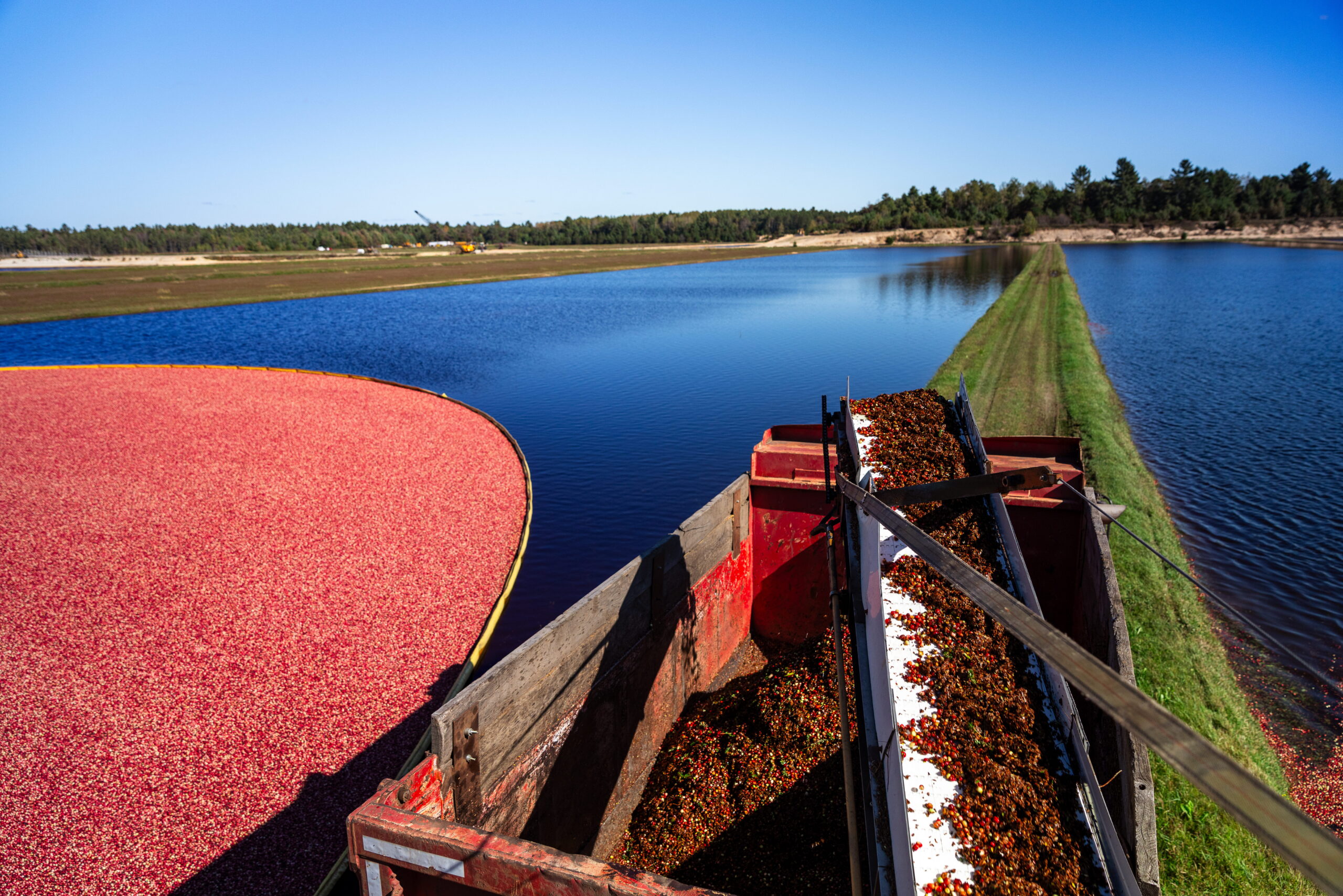 Wetherby Cranberry Company – Warrens